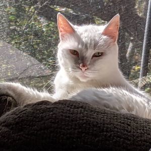 Meet your Posher, Janie